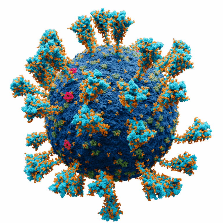 50A6c519