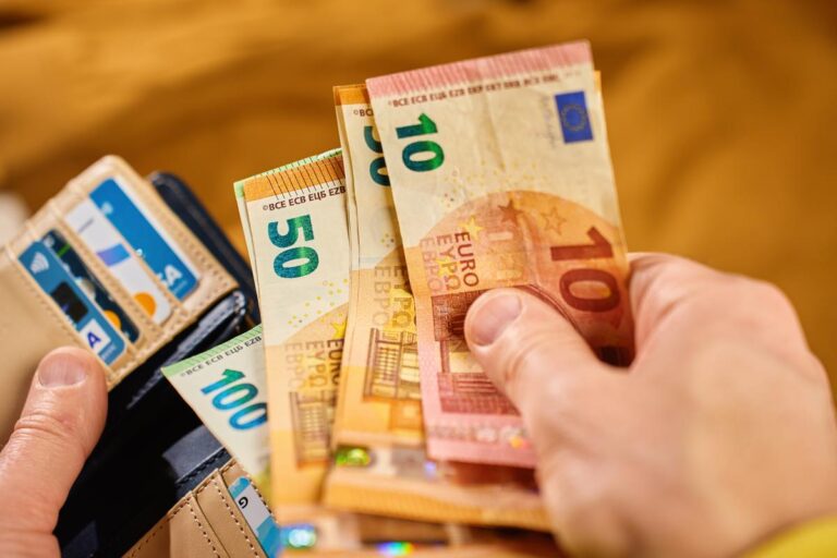 Person holding wallet with euro banknotes in cash and credit cards